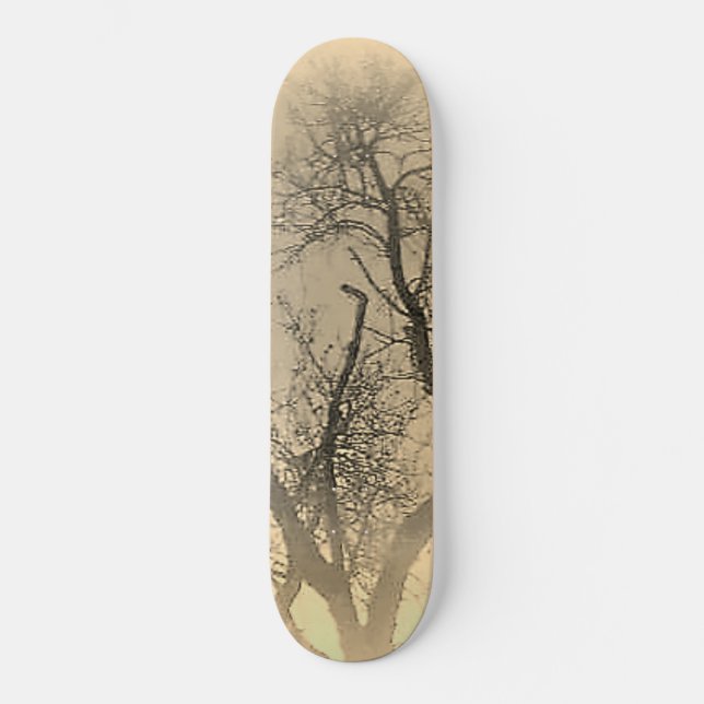 SKATE ESTILO E DESIGN (Frente)