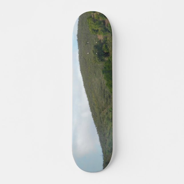SKATE ESTILO E DESIGN (Frente)