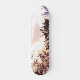 SKATE ESTILO E DESIGN
