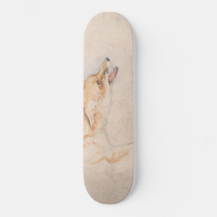 Skate Estudo de uma Raposa Agressiva (por John Frederick