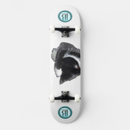 Skate Eu Não Posso Nem Agora