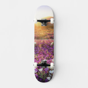 Skate EUA, Califórnia, Parque Estadual do Deserto de Anz