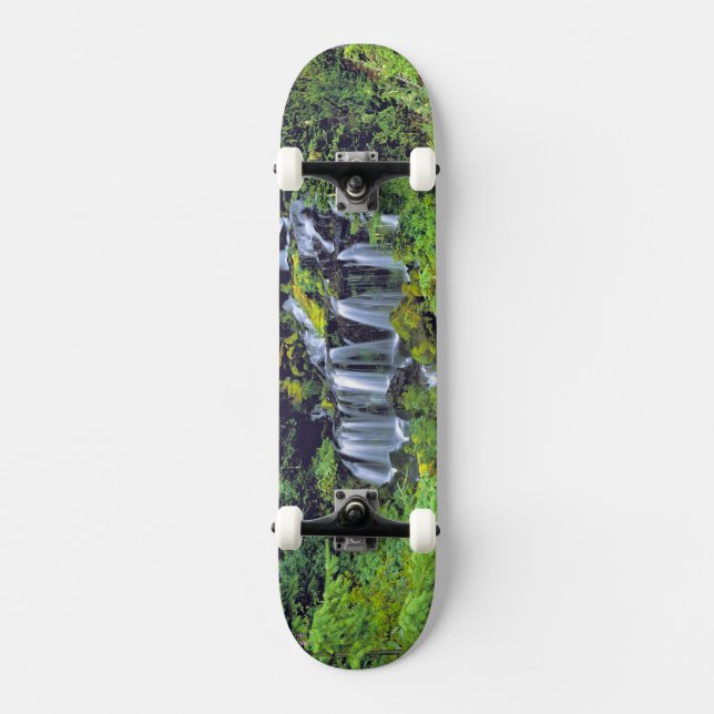 Skate EUA, Estado de Washington, Mt Adams Wilderness. Tw (Frente)
