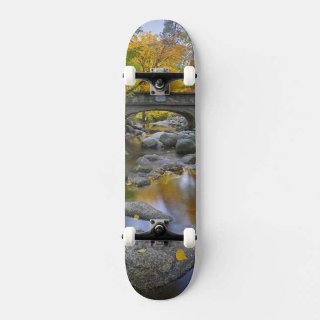 Skate EUA, Oregon, Ashland, Parque Lithia. Outono (Frente)