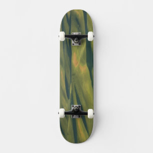 Skate EUA, WA, Condado de Whitman, Campos da Fazenda Pal