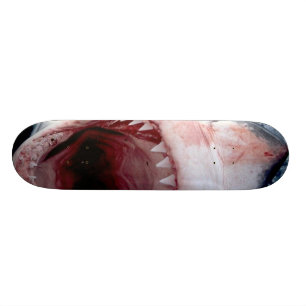 Skate Excelente