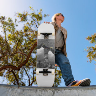 Skate Explosão de Cor de Pinguim
