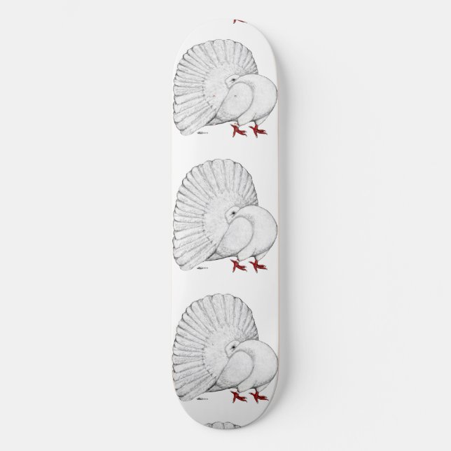 Skate Fantail Pigeon White (Frente)