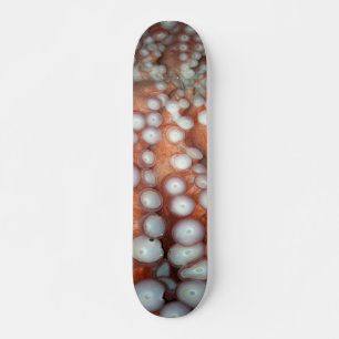 Skate Fechar polvo