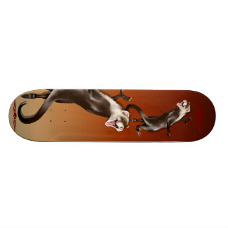 Skate feliz da doninha