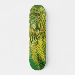 Skate Fern, frondes, verde-verde-ouro amarelo-verde