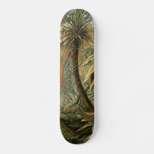 Skate Ferns Palm Tree Arte Botânica Antica