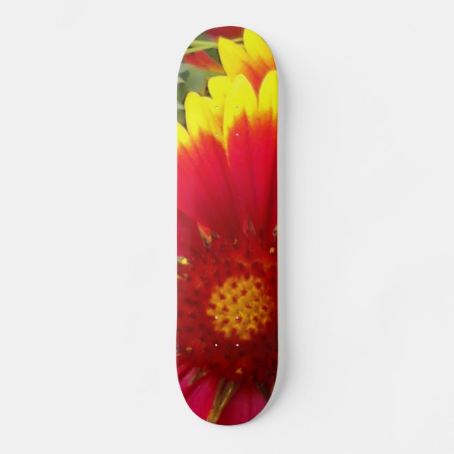 Skate Flor bonito (Frente)