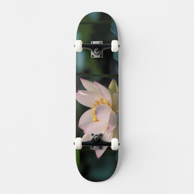 Skate Flor de lótus em flor, China (Frente)