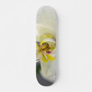 Skate Flor de Orquídea Branca