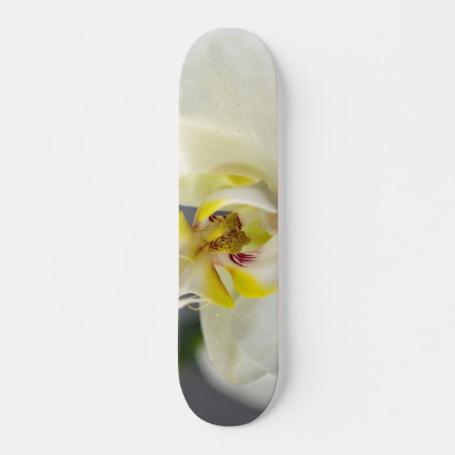 Skate Flor de Orquídea Branca (Frente)