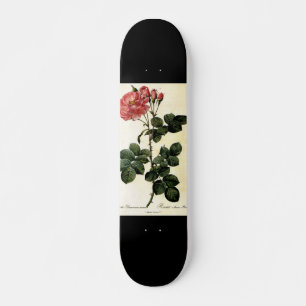 Skate Flor de rosa, Pierre Joseph Redouté