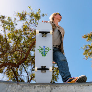 Skate Flores Bluebell Baby Menino Primavera