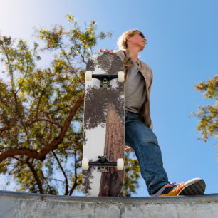 Skate floresta, árvore