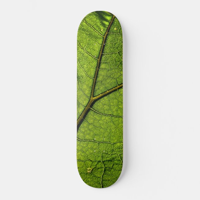 Skate Folha de Borboleta Verde (Frente)