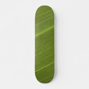 Skate Folha de Palmeira