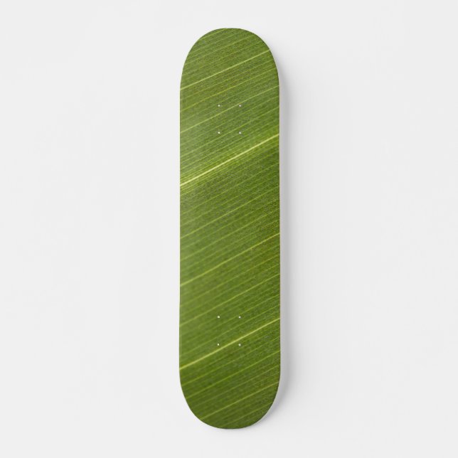 Skate Folha de Palmeira (Frente)