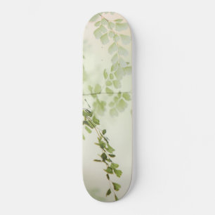Skate Folhagem primavera