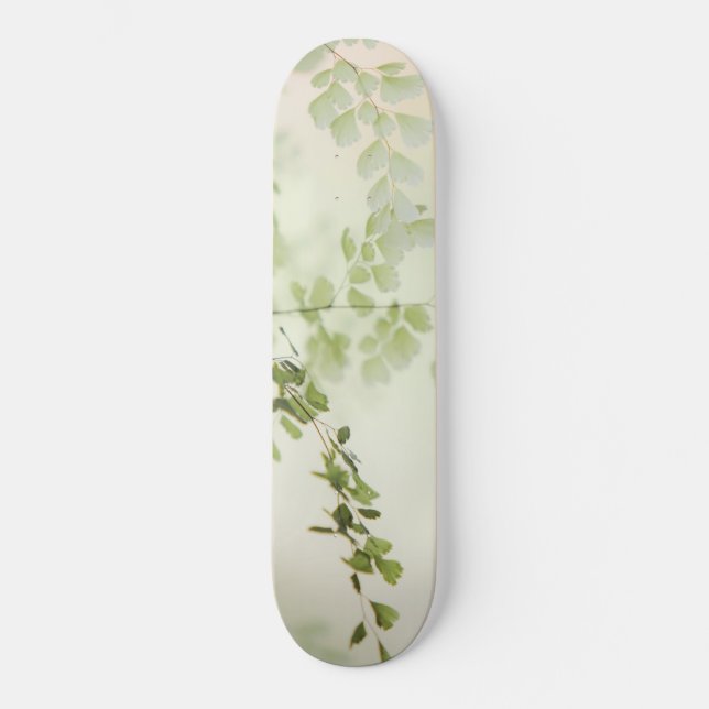 Skate Folhagem primavera (Frente)
