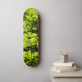 Skate Folhas Daptadas pelo Sol na Floresta