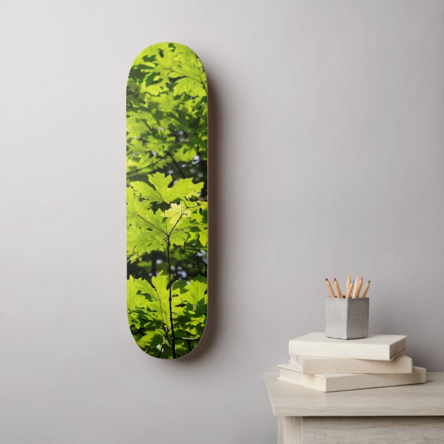 Skate Folhas Daptadas pelo Sol na Floresta (Arte de parede)