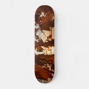 Skate folhas de ácer