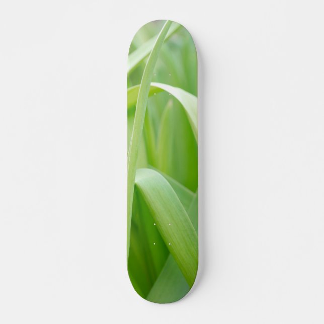 Skate Folhas Frescas de Planta Verde  (Frente)