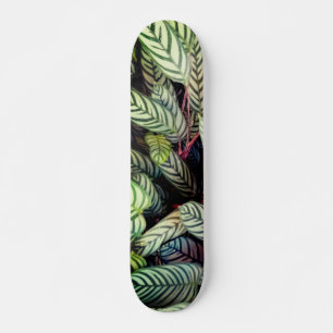 Skate Folhas riscadas