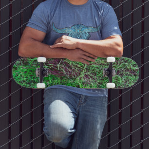 Skate Fotos de Textura de Finos Galhos de Musgo Verde Vi