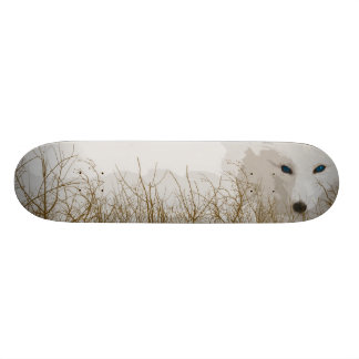 Skate Fox branco