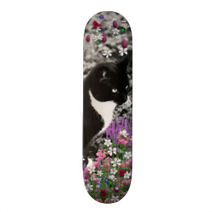 Skate Freckles nas flores II - gato do gatinho do
