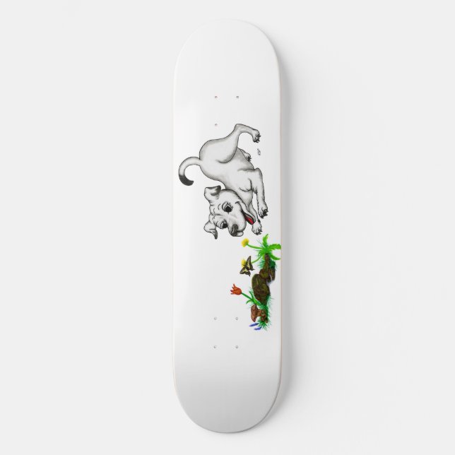 Skate Frühlingserwachen, Welpe mit Schmetterling (Frente)
