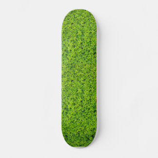 Skate Fundo de Parede de Hera