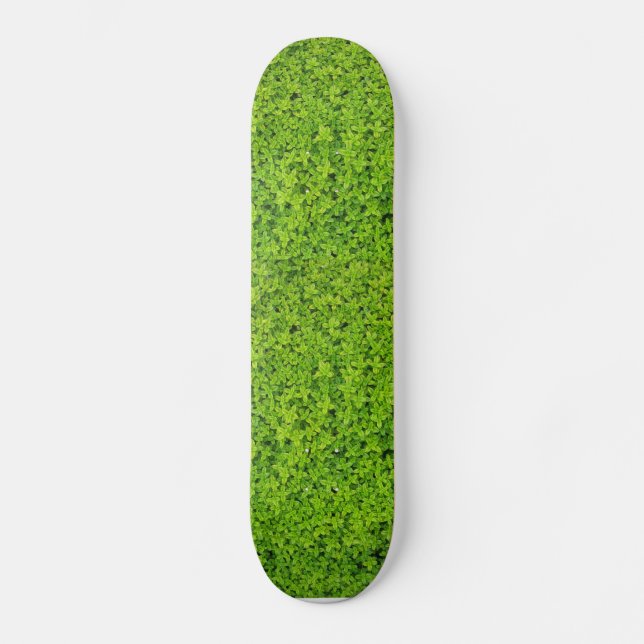Skate Fundo de Parede de Hera (Frente)