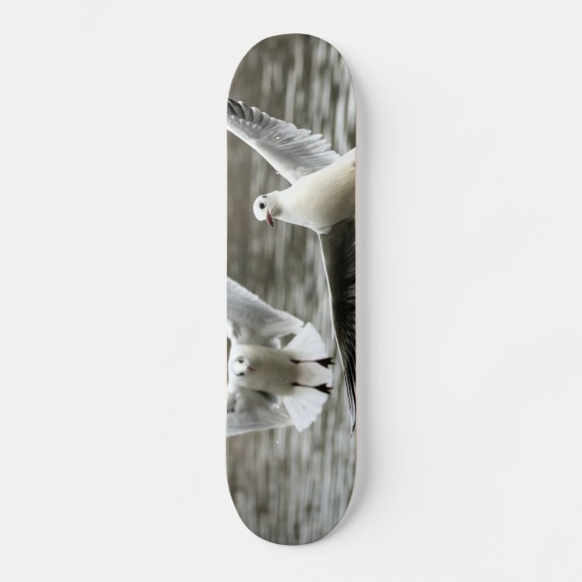 Skate Gaivotas em Voo (Frente)
