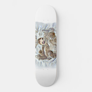 Skate Galeria de Bandejas de Pintura Lenta Quebra de Ar