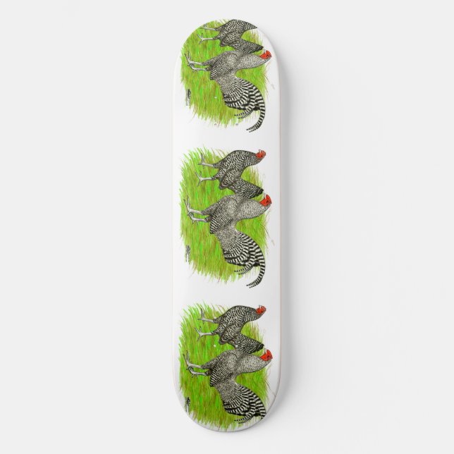 Skate Galinhas com Barras Antigas para Jogos Ingleses (Frente)