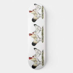 Skate Galinhas do Rio Índio