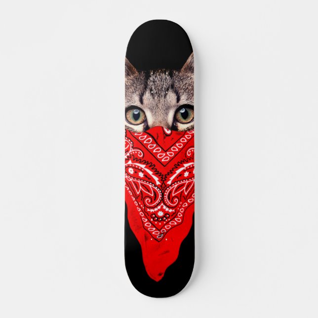 Skate Gangster cat (Frente)