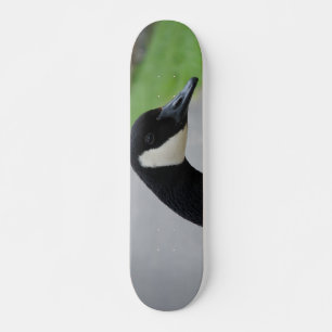 Skate Ganso do Canadá