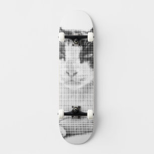 Skate Gato Calico Cômico Meia-Tinta