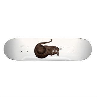 Skate Gato de Chesire