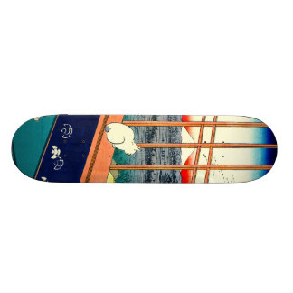 Skate Gato e Monte Fuji 1857