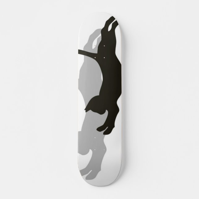 Skate Gato preto (Frente)