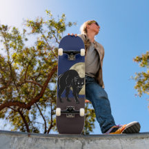 Gato Preto De Vassoura Do Halloween Numa Noite De 